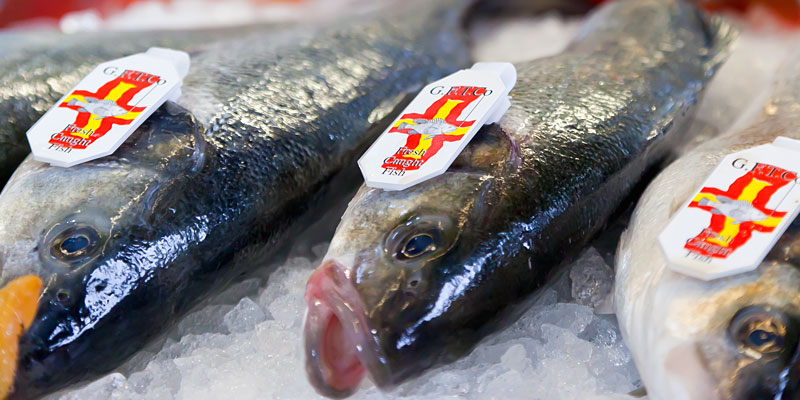 Sustainable local fish.