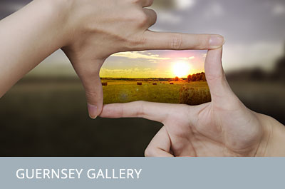Gallery.